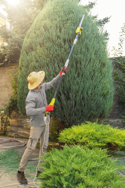 Seasonal Cleanup in Canterwood, WA